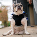 royal blue thermal dog fleece jacket with integrated harness