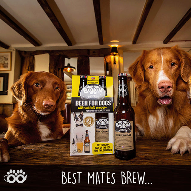 Bottom Sniffer Dog Beer - Duo Gift Box