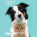 Liquid milk thistle supplement for dog and cat liver support