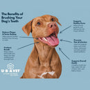 Dual-enzyme vanilla toothpaste for dogs and cats