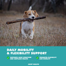 joint support powder for dogs and cats 8.8 oz supplement