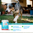 joint support powder for dogs and cats 8.8 oz supplement
