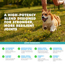 joint support powder for dogs and cats 8.8 oz supplement