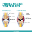 UBAVET Joint Plus Liquid Joint Supplement for Dogs & Cats