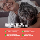 memory and brain support supplement for senior dogs