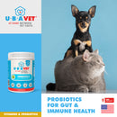 probiotics gut and immune support supplement for dogs