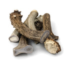 natural whole deer antler chews for dogs large pack