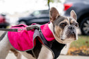 2-in-1 Thermal Dog Fleece Jacket with Integrated Harness - Fuchsia