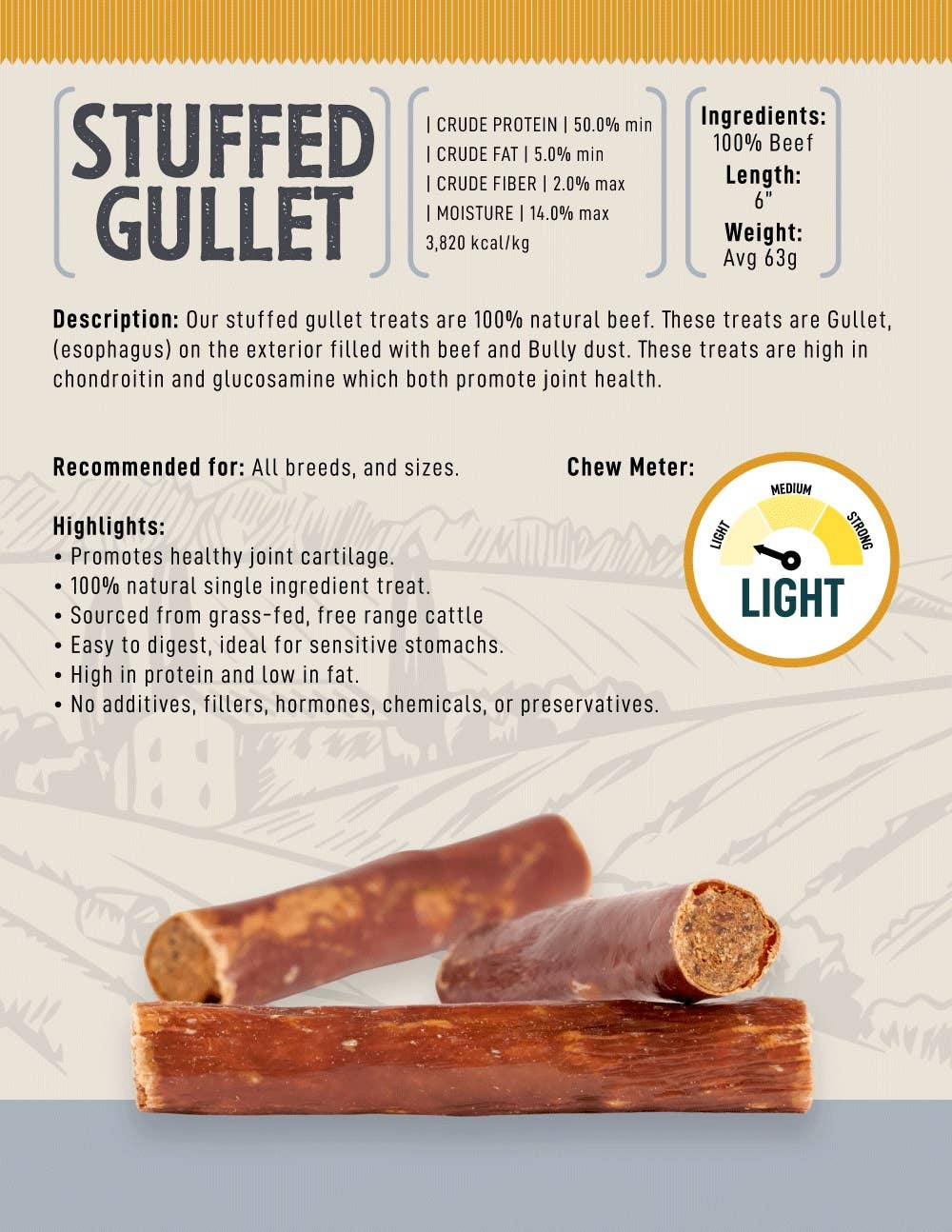 Filter Gullet Gullet