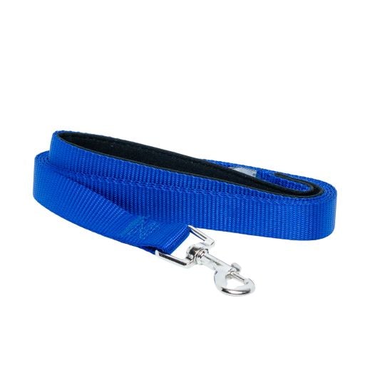 Padded Grip Dog Leash (5ft) - Blue
