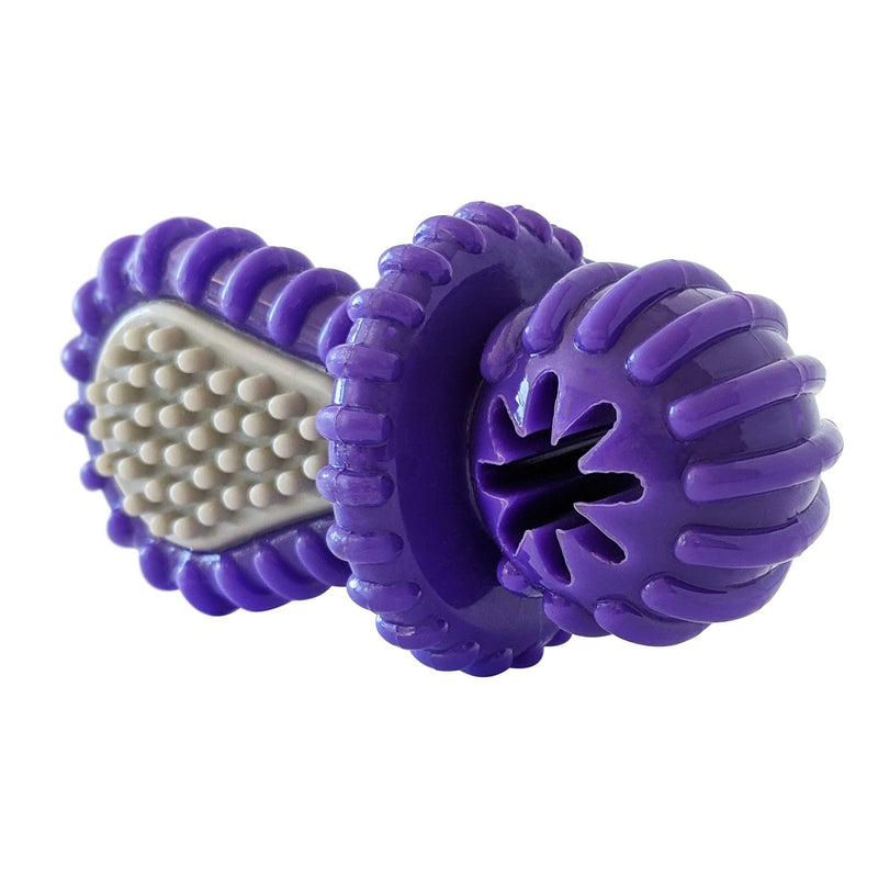 Dental Pacifier Dog Chew Toy - Purple