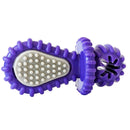Dental Pacifier Dog Chew Toy - Purple
