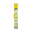 designer dog collar with pineapple pattern