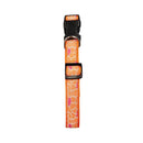 dog collar with embroidered giraffe design