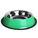 Green eco-friendly non-skid cat and dog bowl