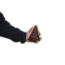 Cake slice and milk plush dog toy combo