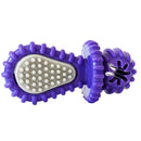 purple dental pacifier chew toy designed for dogs